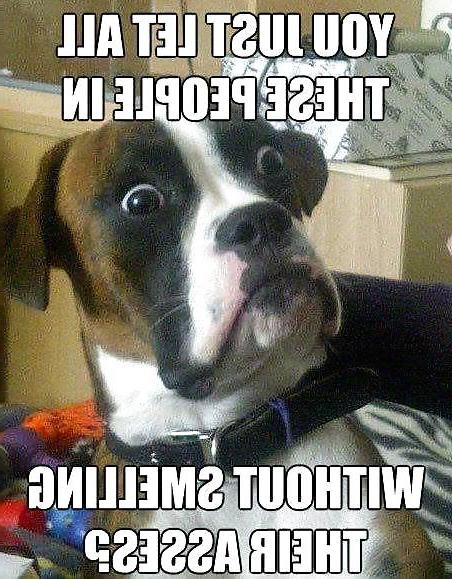 25P Funnies From The Net