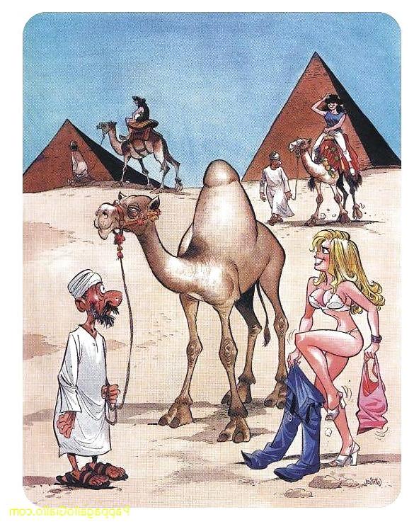 18P Something funny 15