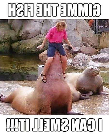 18P Something funny 15