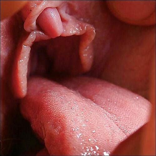 7P Pics to cum over