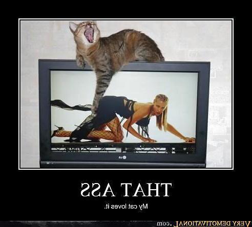 25P Something funny 12
