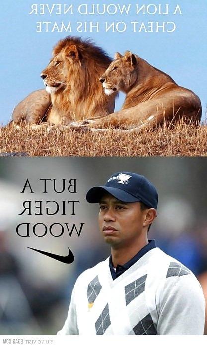 8P Funny stuff