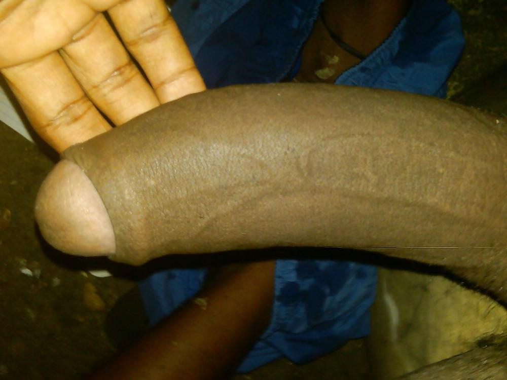 8P Pene 7 cm