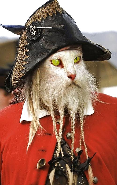 12P Fun Pictures with Animals
