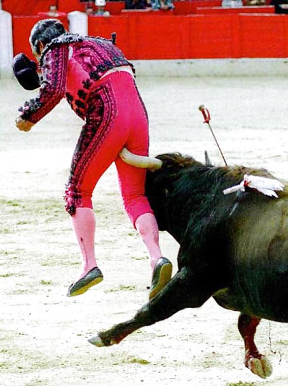 12P Fun Pictures with Animals