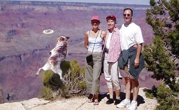 12P Fun Pictures with Animals