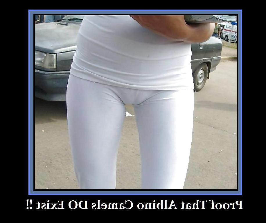 11P Funny Posters IV