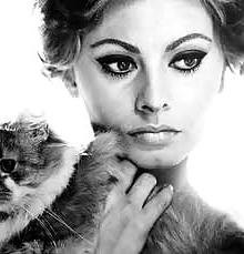 25P Golden Age of Hollywood Glamour