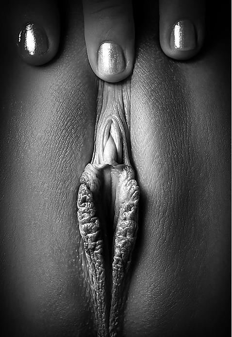 25P TB-collection, Pain or lust XXVII