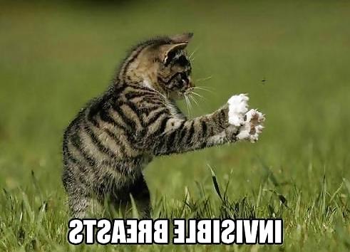 16P Huge Breasts (With Cats)