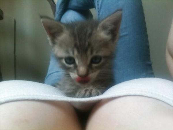 16P Huge Breasts (With Cats)