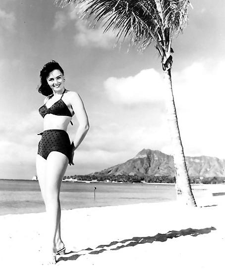 25P Let's Jerk Off Over ... Donna Reed