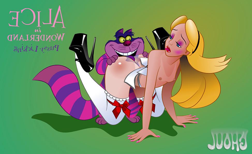 11P Wonderland hf.com