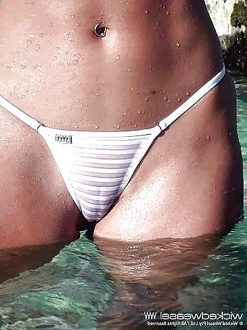 25P Camel Toes Farm