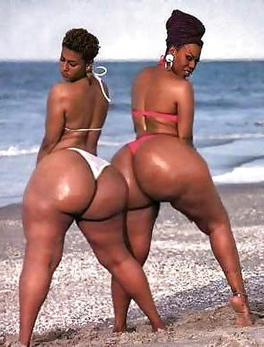 22P Asses 2