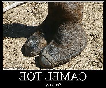 25P Cameltoe
