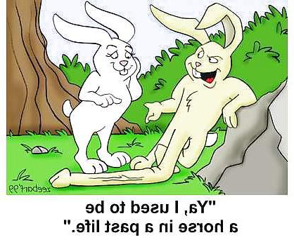 14P Cartoon Mix