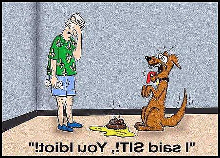 14P Cartoon Mix