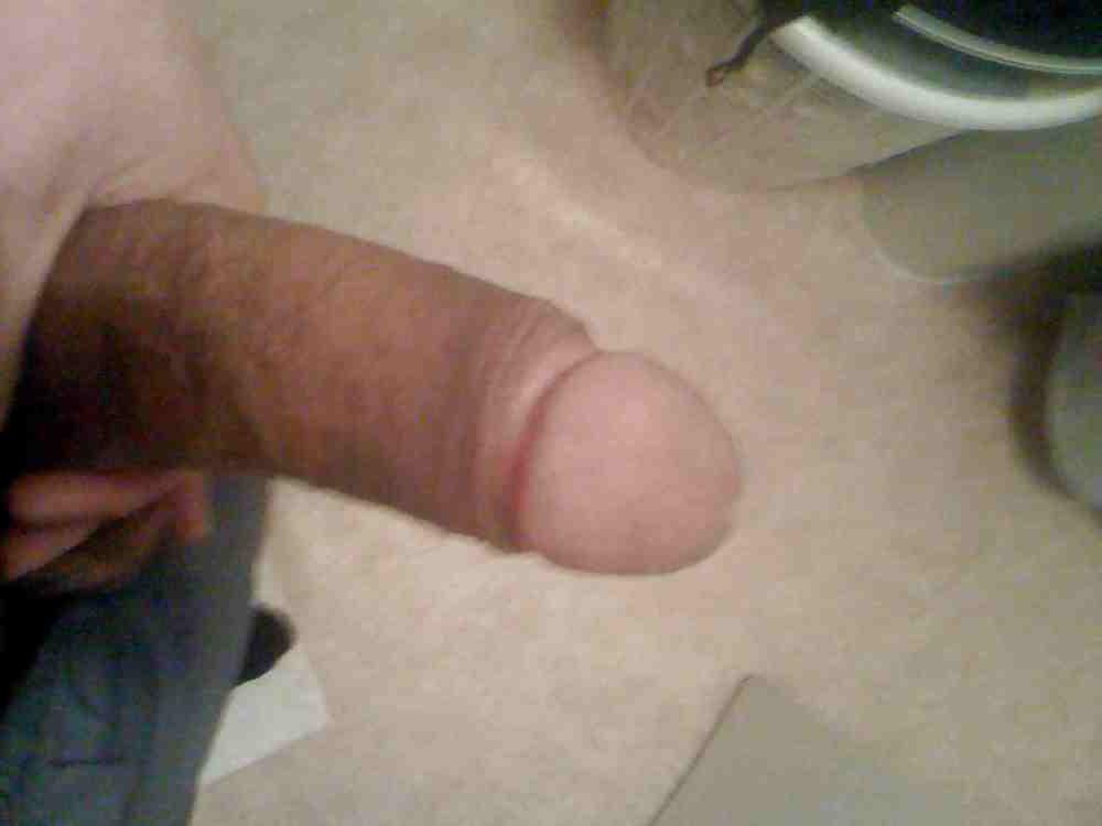 5P Camara Shy