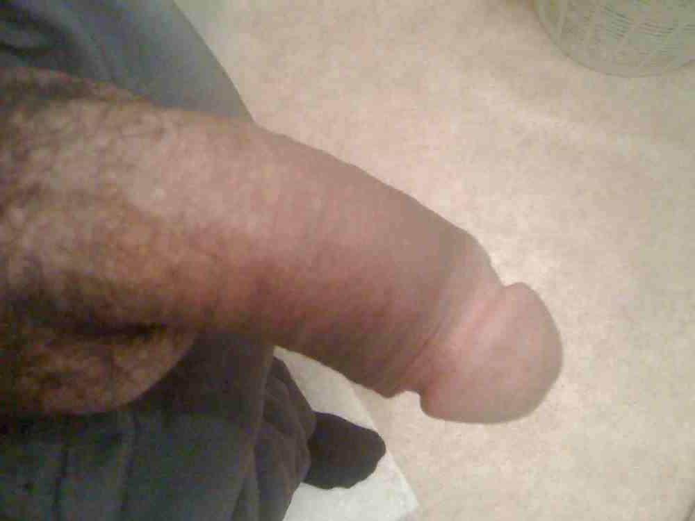 5P Camara Shy