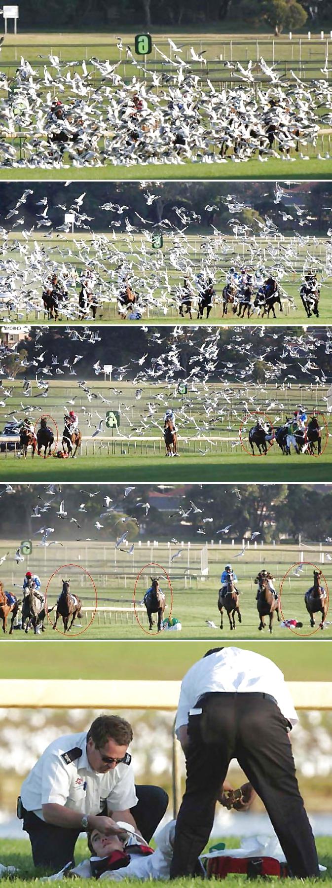 15P Hilarious Sports and other Pictures