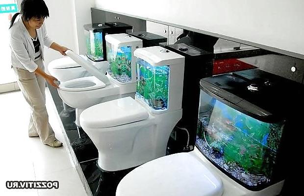 15P Toilet