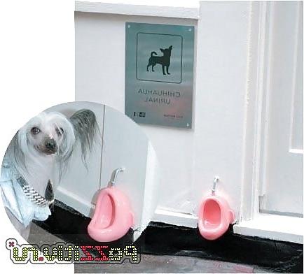 15P Toilet