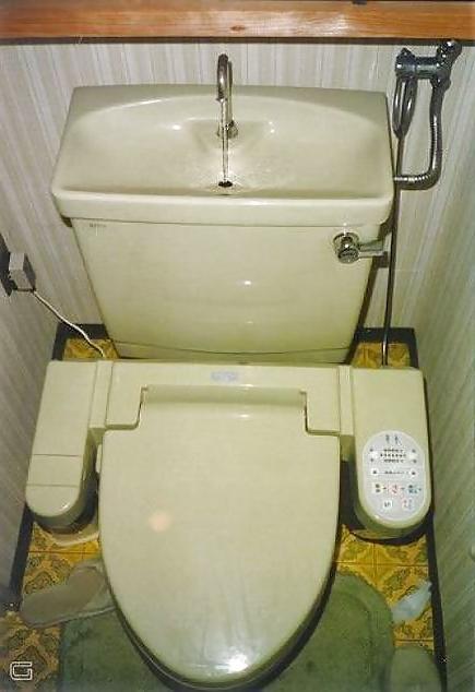 15P Toilet