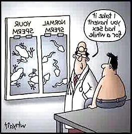 19P Cartoons 2