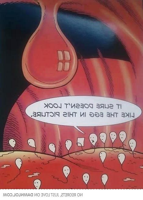19P Cartoons 2