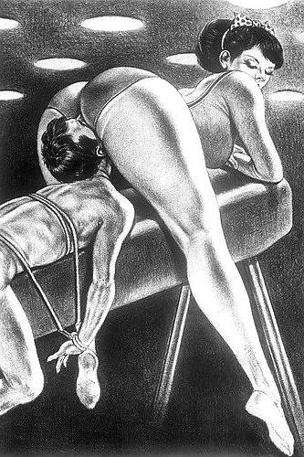 24P Cartoon Bdsm Matures