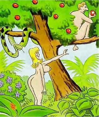 15P Funny pics