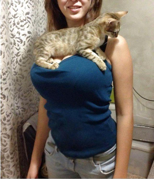 15P Funny pics