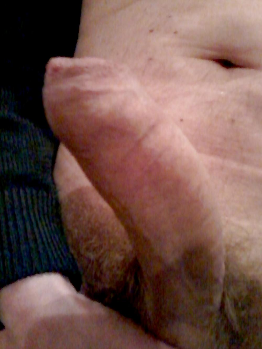 16P My belgian cock again !