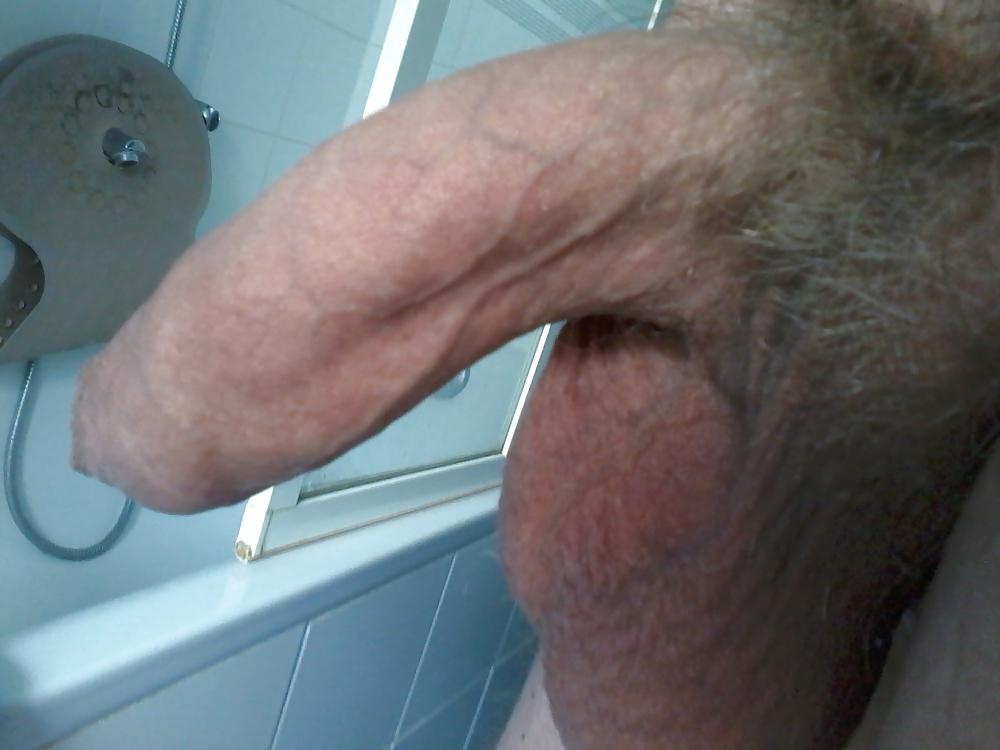 16P My belgian cock again !