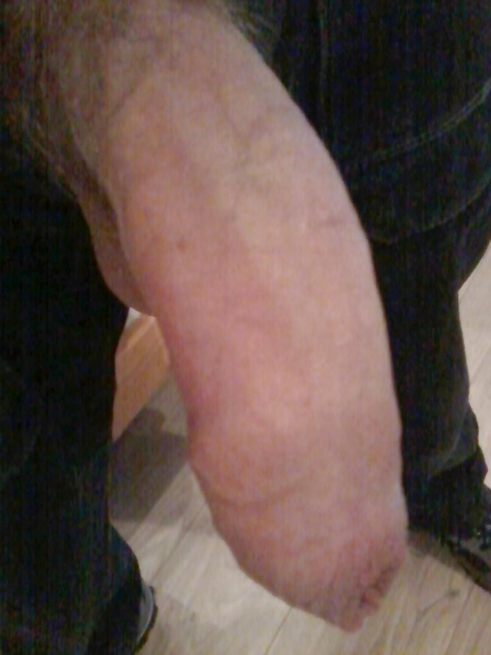 16P My belgian cock again !