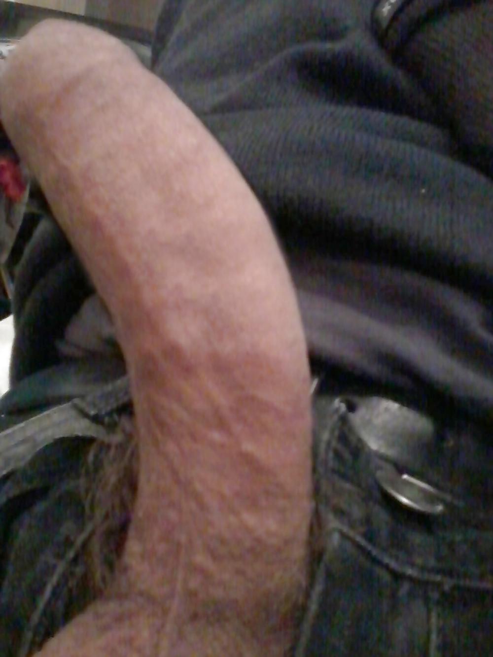 16P My belgian cock again !