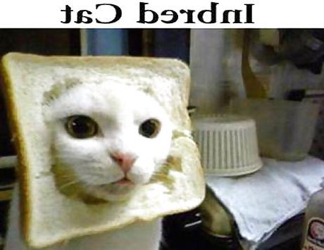 23P Funny things