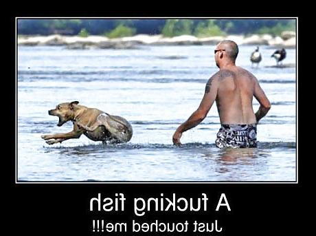 23P Funny things