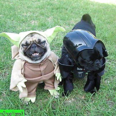 23P Funny things