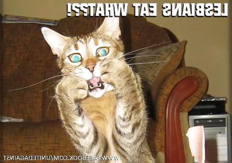 23P Funny things