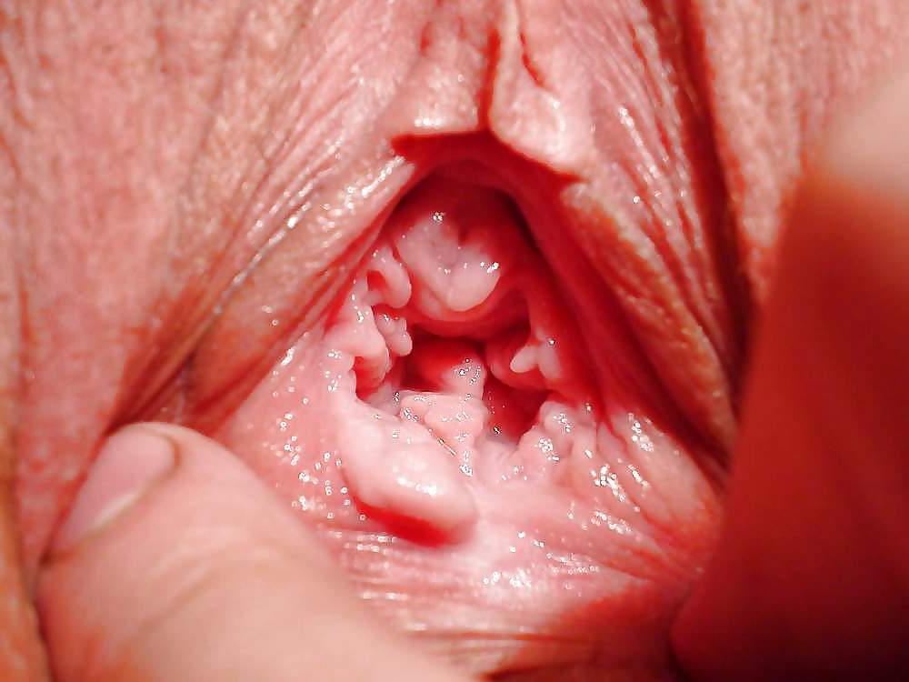 25P Pussy Close Ups (5)