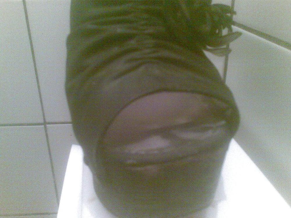 25P R-st shoe