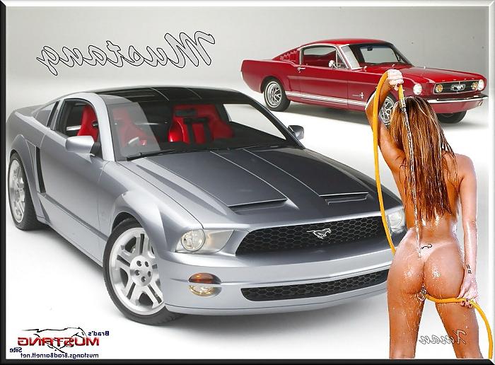 16P Car Washer