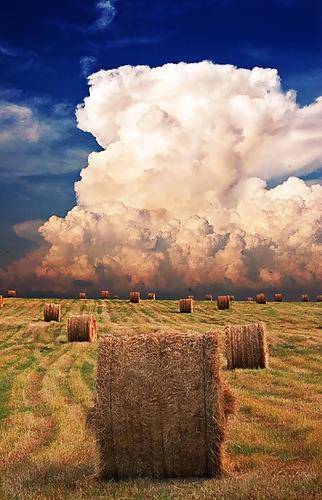 15P Country dreams...