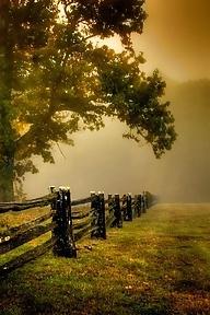 15P Country dreams...