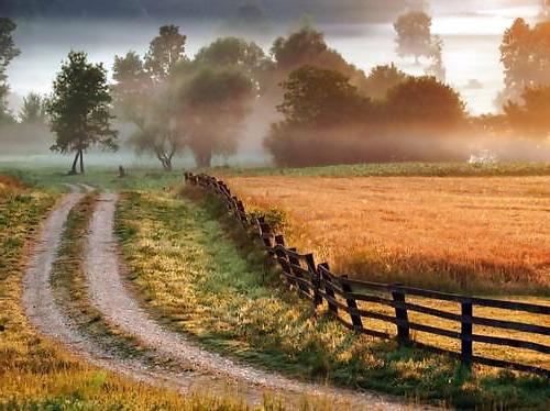 15P Country dreams...