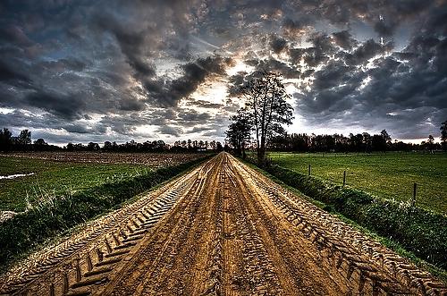 15P Country dreams...
