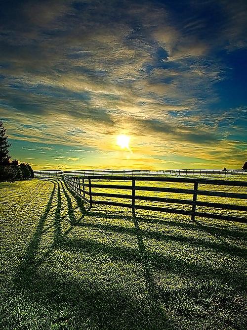 15P Country dreams...