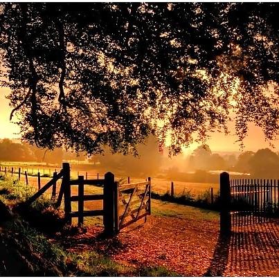15P Country dreams...